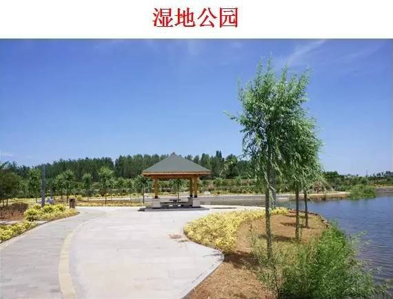 中農聯合生物科技產業園