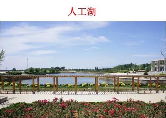 中農聯合生物科技產業園